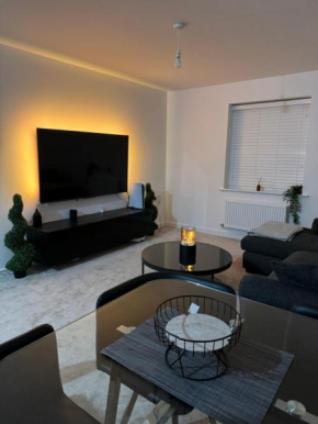 Modern and Cozy private room in New 2-Bed Apartment